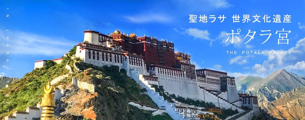 图片1_proc.jpg