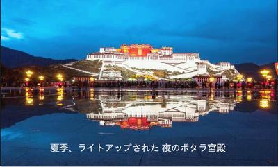 布达拉宫夜.jpg