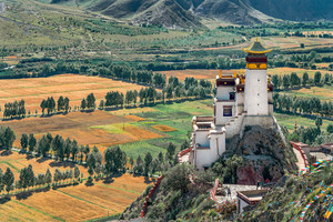 青蔵鉄道で行く聖地ラサとチベット族発祥の地ツェタンの５日問の旅